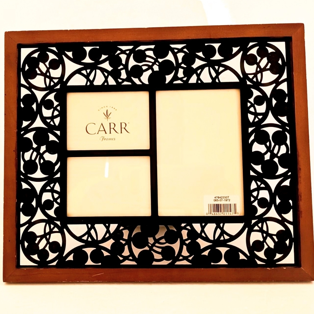 Carr Frames Multi-Opening Wood & Metal Picture Frame